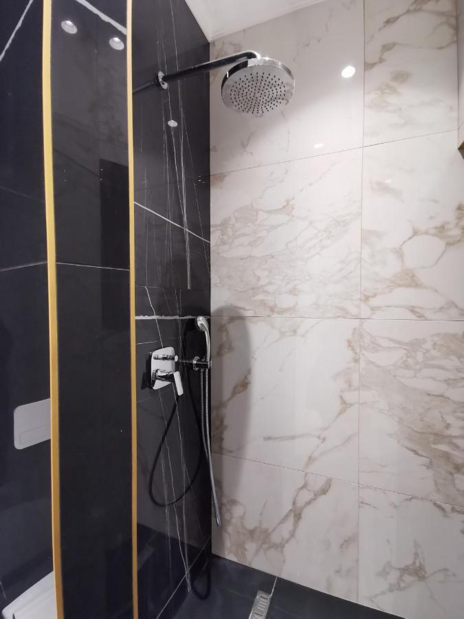 Max Central Apartment Belgrad Dış mekan fotoğraf